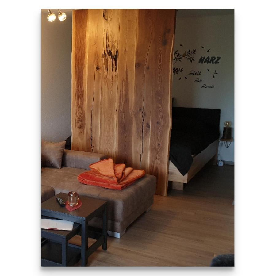 Appartement Harz Zeit à Altenau  Extérieur photo