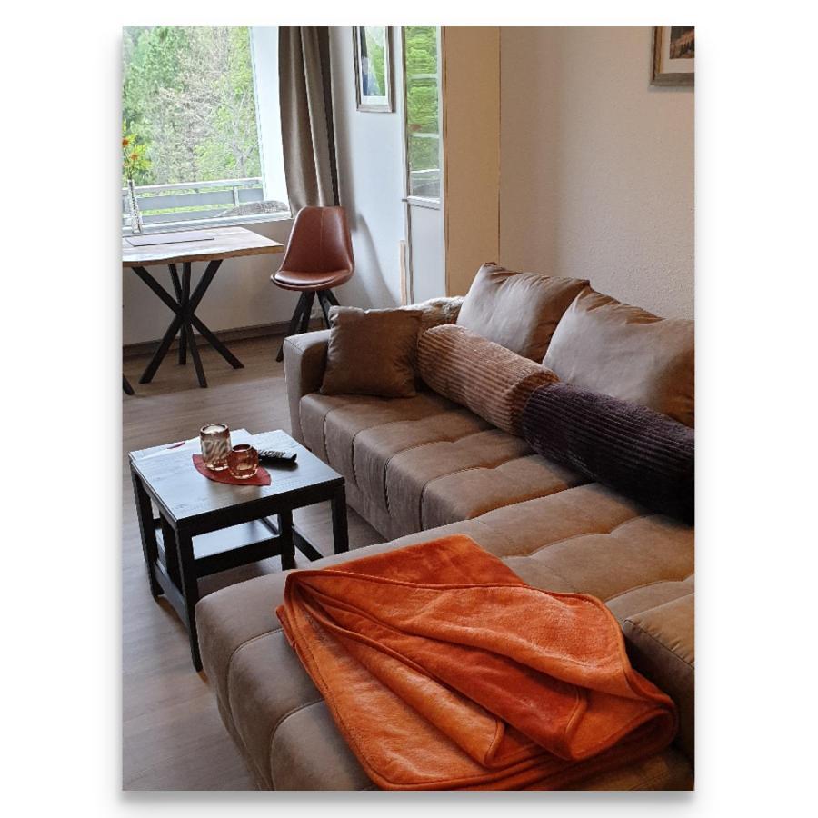 Appartement Harz Zeit à Altenau  Extérieur photo